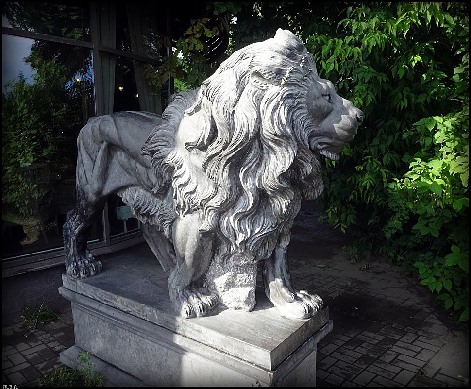 Скульптура льва около Петропавловской крепости - Вера 