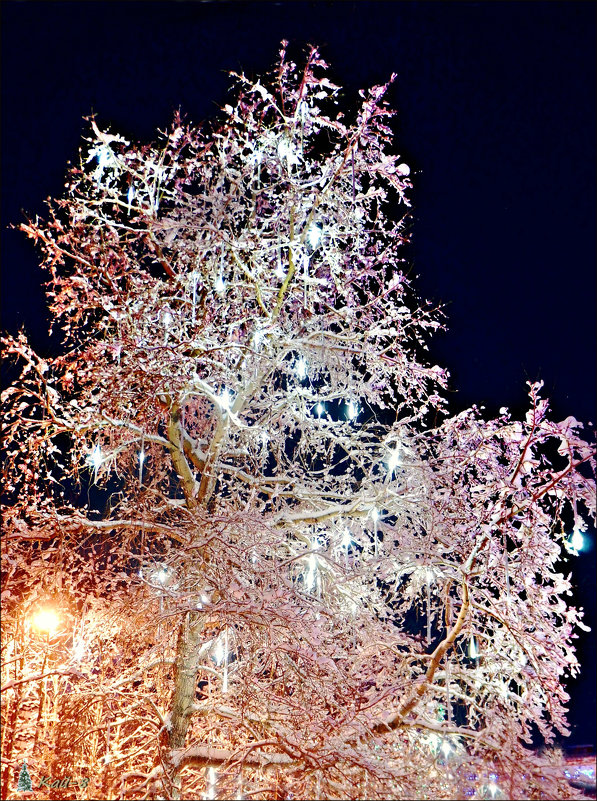 Новогоднее дерево с градусниками - Кай-8 (Ярослав) Забелин
