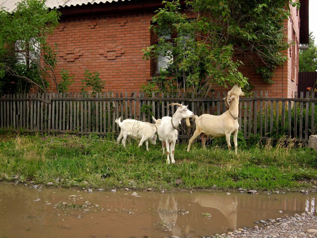 *** - Евгений Спирин