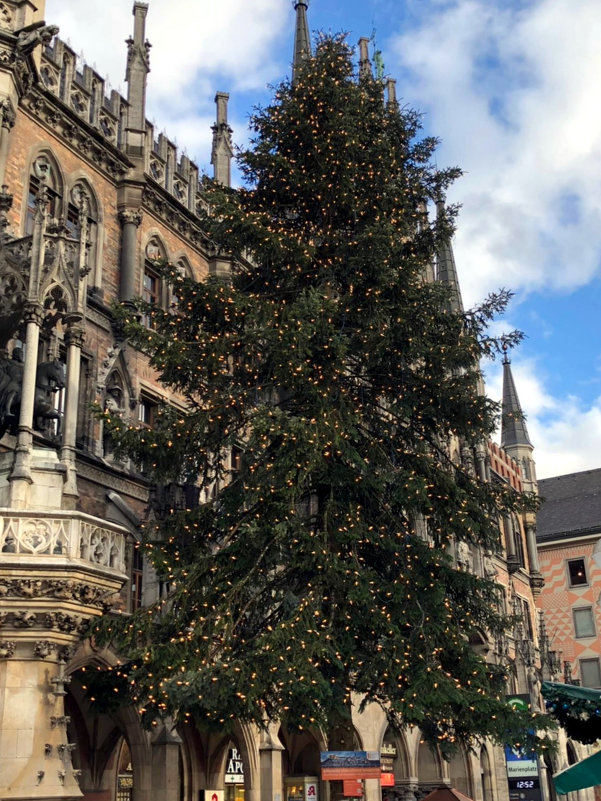 Странная рождественская ёлка в Мюнхене. - Елена 