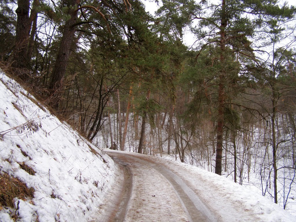 Подмосковный серпантин - Анна Воробьева