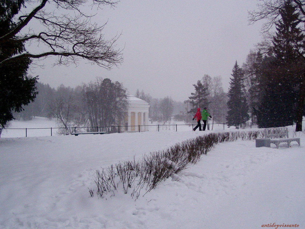 Павловск - vadim 