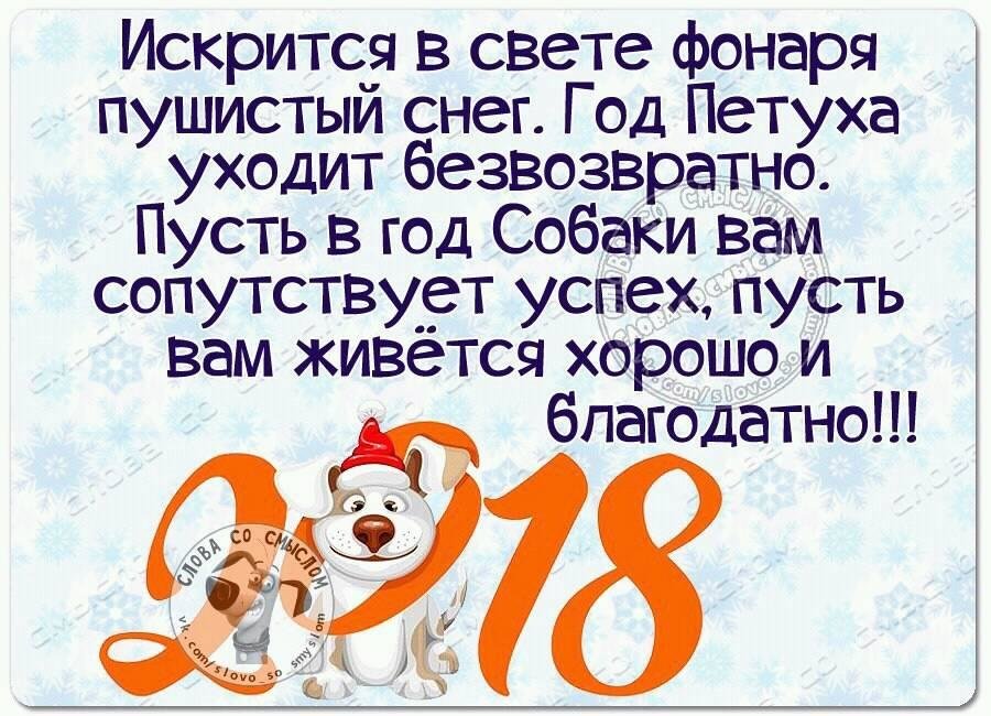С наступающим Новым годом!!! - Вера Щукина