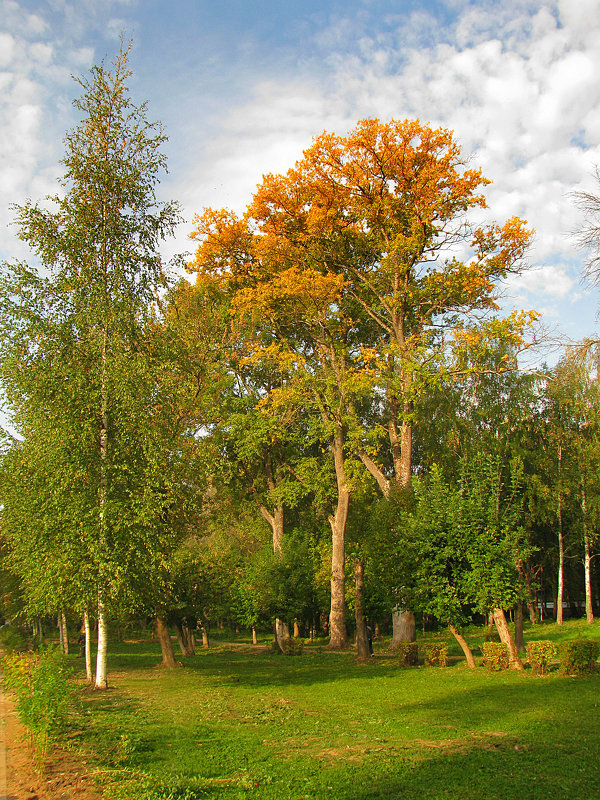 Осенью в парке - Oleg S 