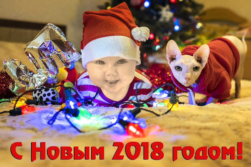 Новый Год 2018 - derber d