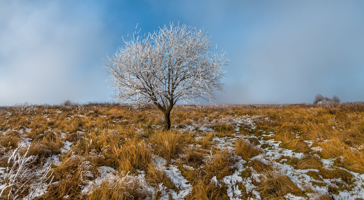 Фото Федор Лашков зима Ставрополье