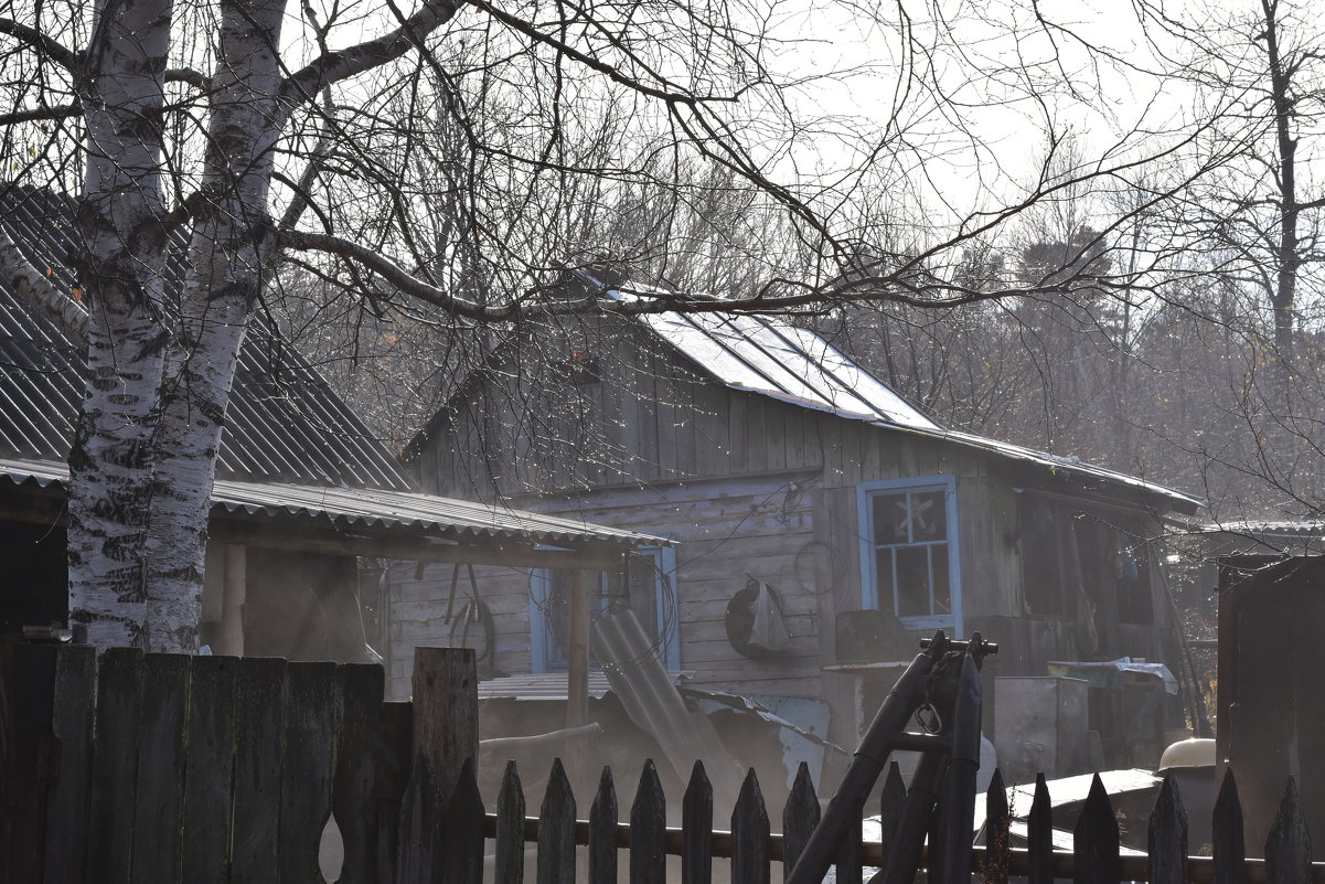 Дом в заброшенной деревне - Евгений Меринов