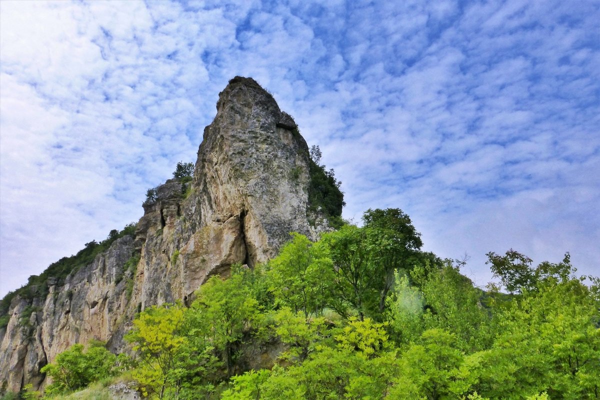 Природный  парк "Русенски Лом" Болгария - wea *