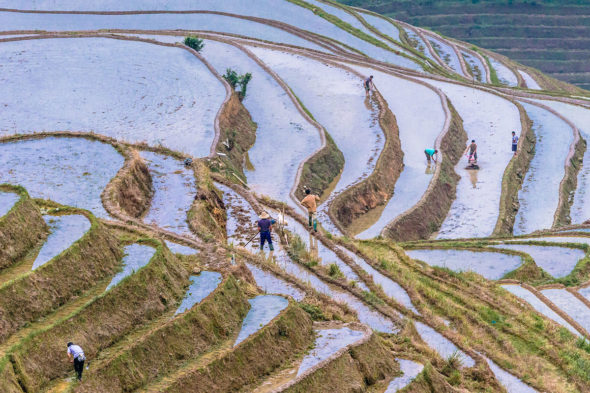 Рисовые террасы Китая - Андрей Лукашенко