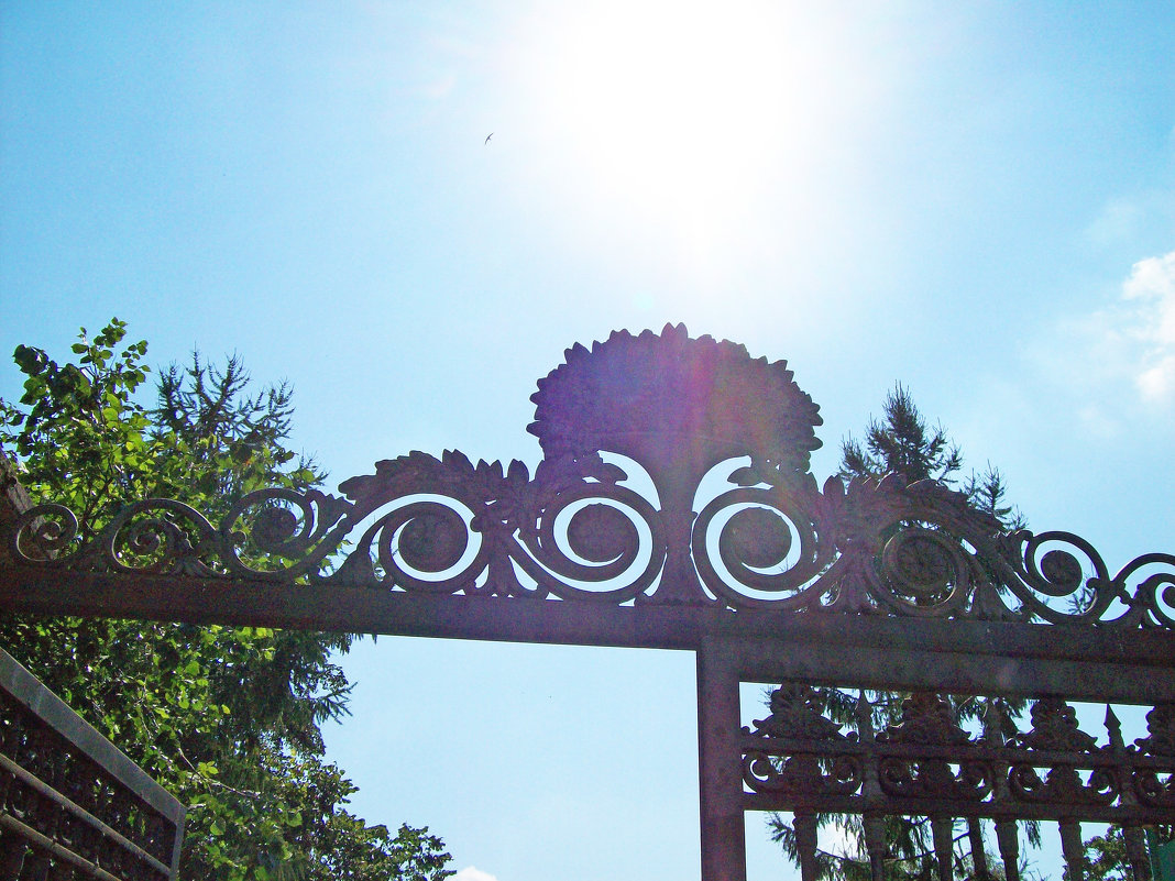 Ворота Юсуповского сада - alemigun 
