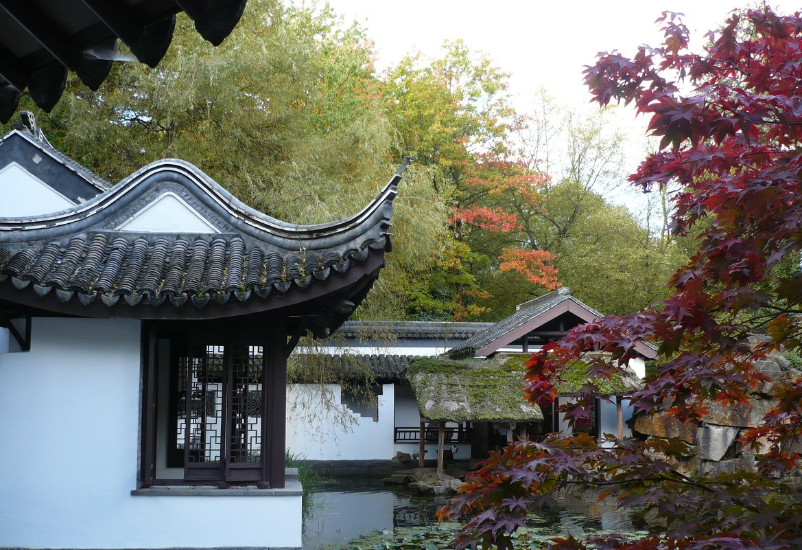 Китайский сад Рурского университета, г. Бохум - Раиса Шиллимат