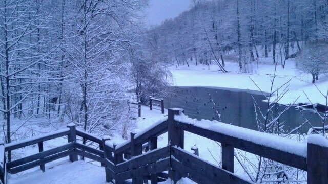 Зимняя сказка в Царицыно - Вера 