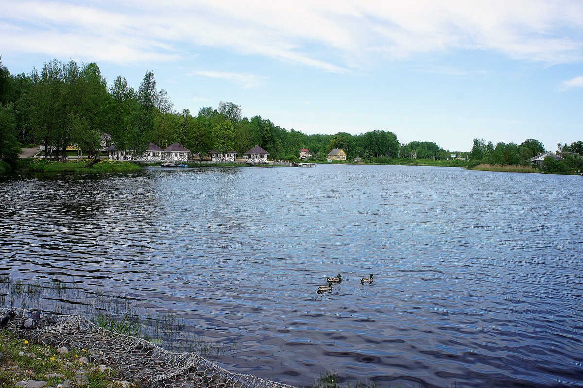 Колтушское озеро - Елена Павлова (Смолова)