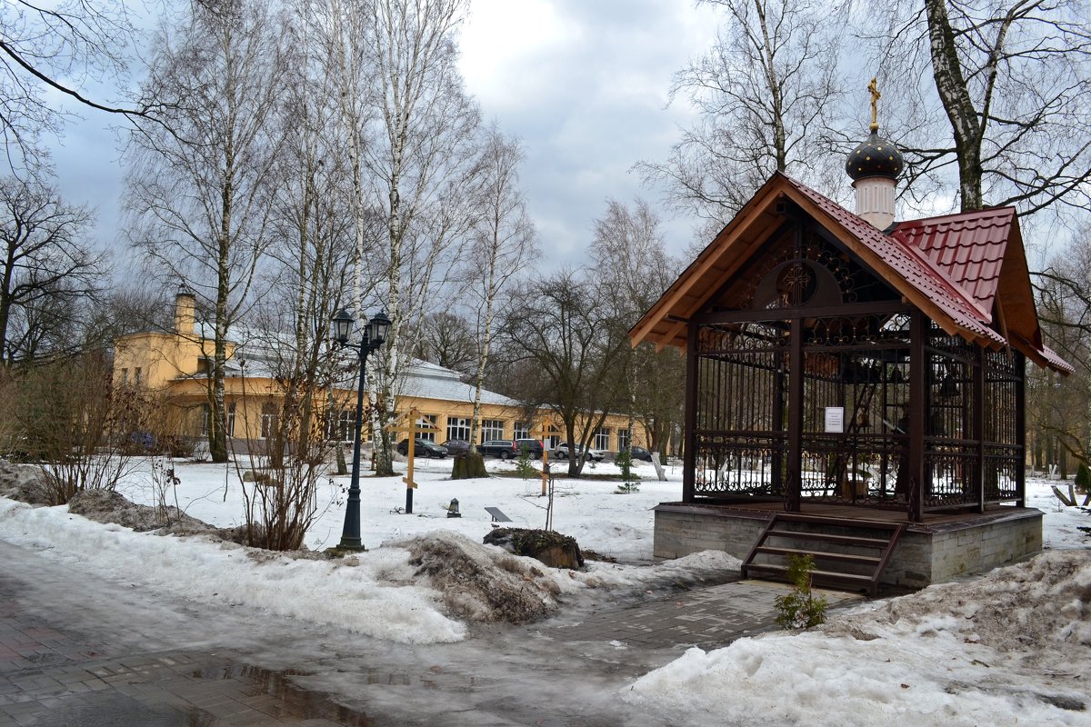 Сергиева Приморская пустынь - Ольга 