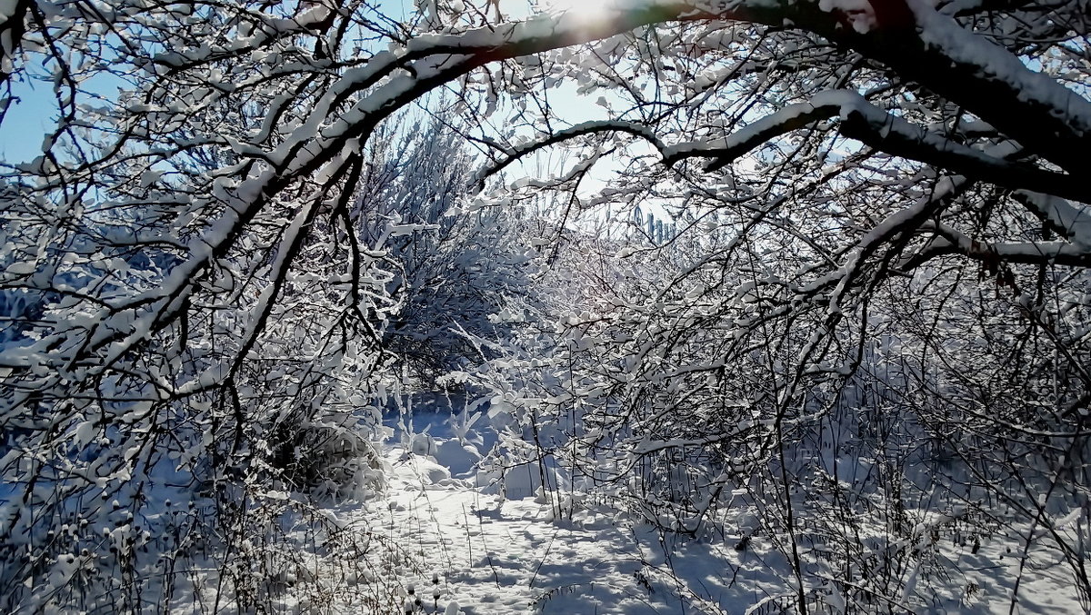 Зима-2018 Фото№4 - Владимир Бровко