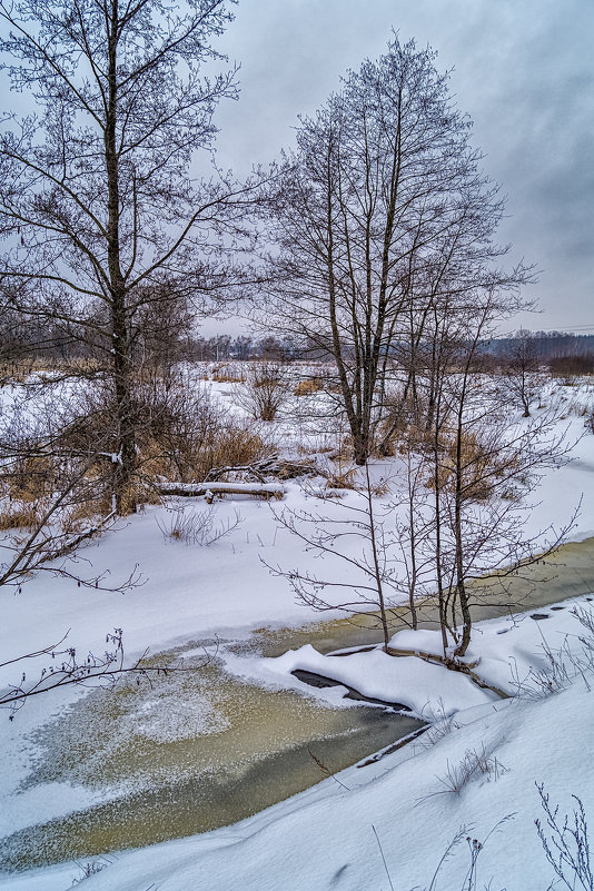 Зима в Дрезне - Андрей Дворников