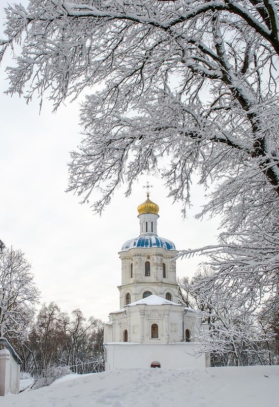 Коллегиум зимой - Сергей Тарабара