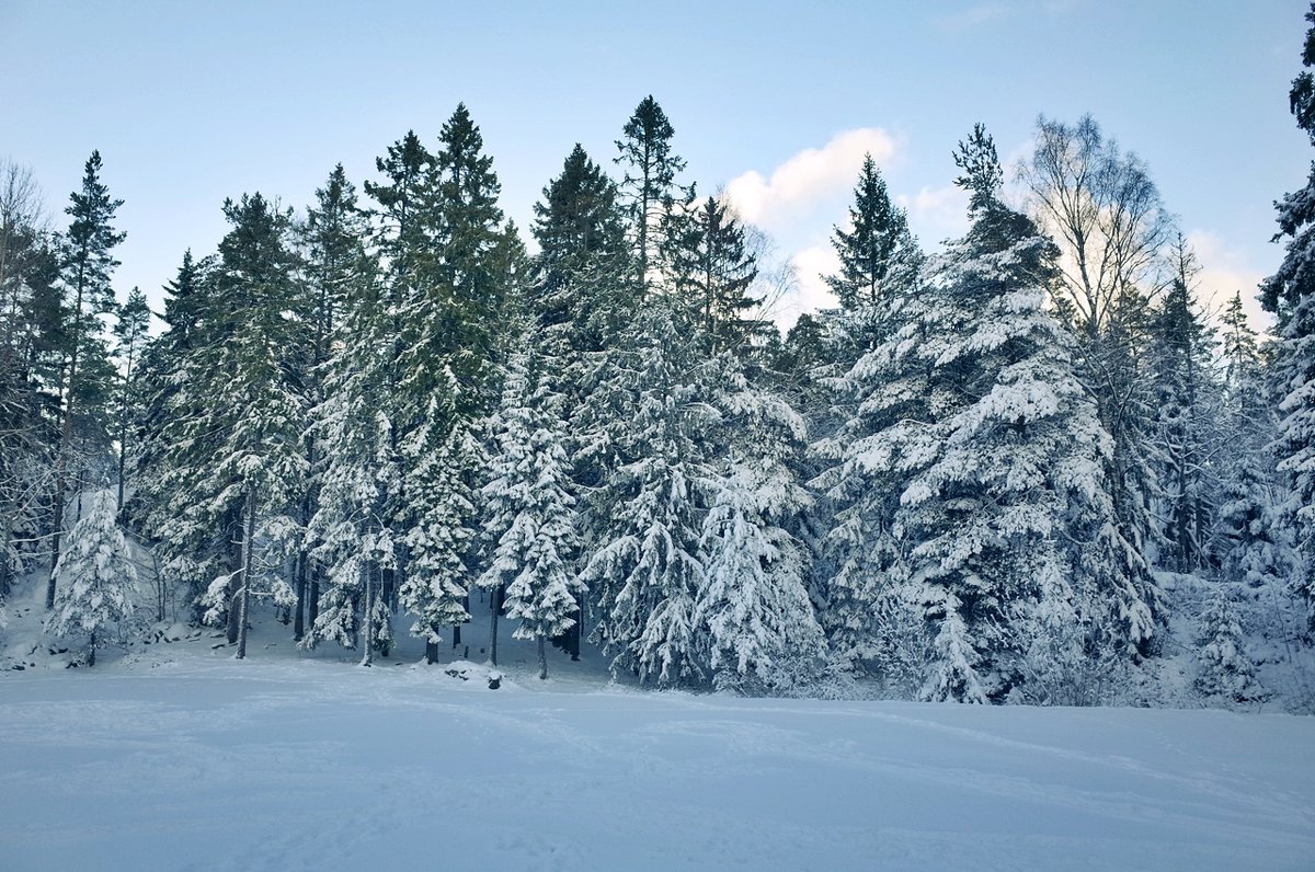 Зима в Швеции - wea *