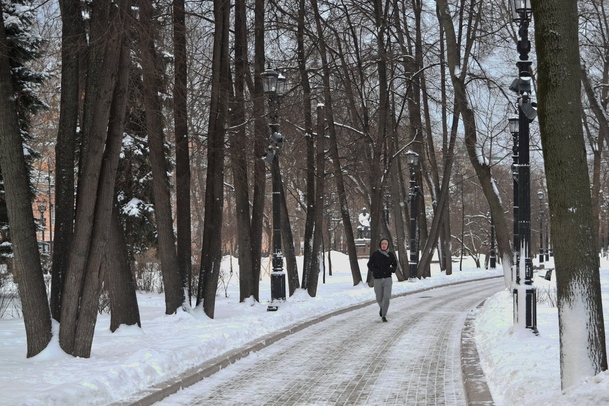 В Москву пришла настоящая зима, с морозом, со снегом! - Татьяна Помогалова