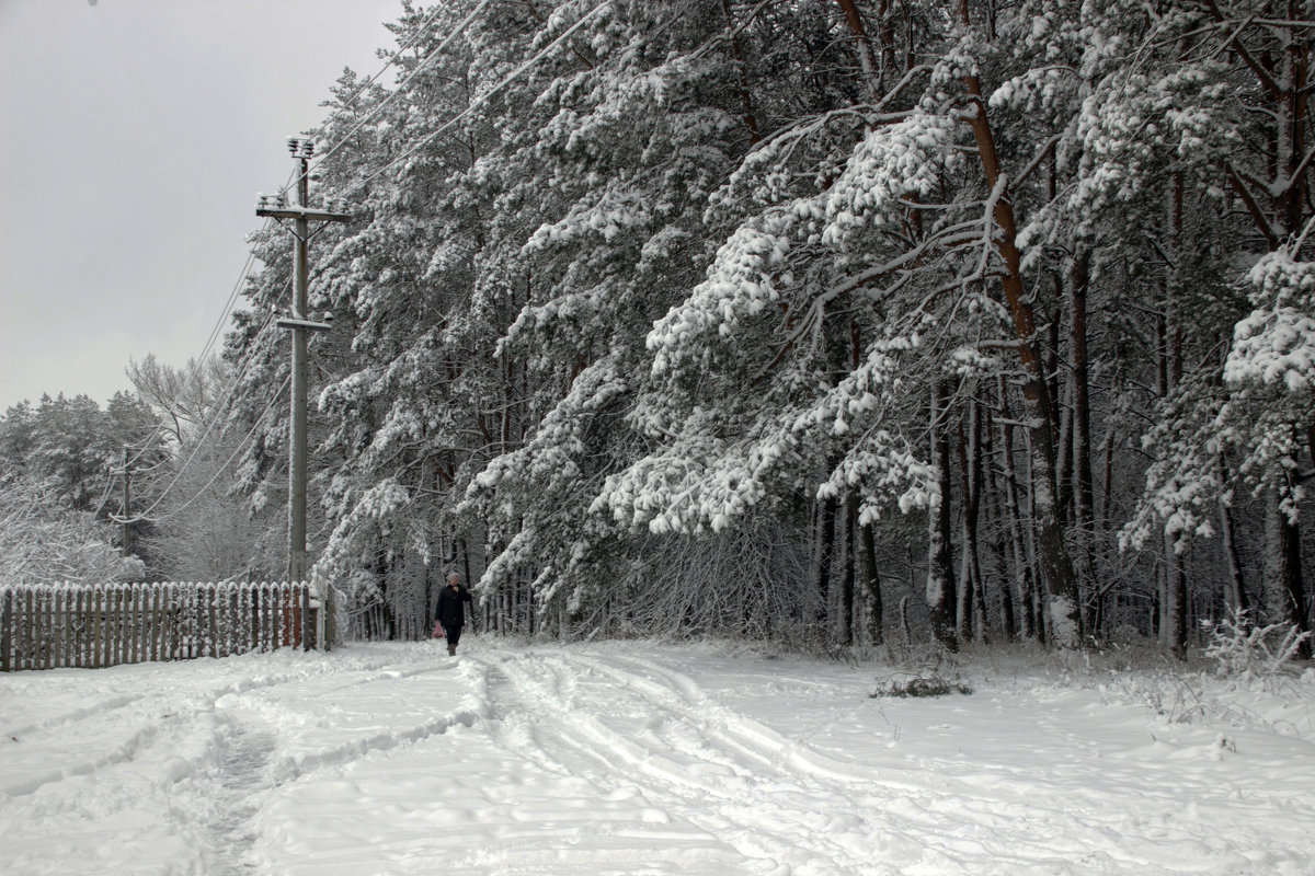 зимняя прогулка - оксана 