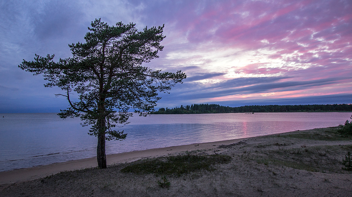 Розовый закат на Онежском озере - Александр Кафтанов