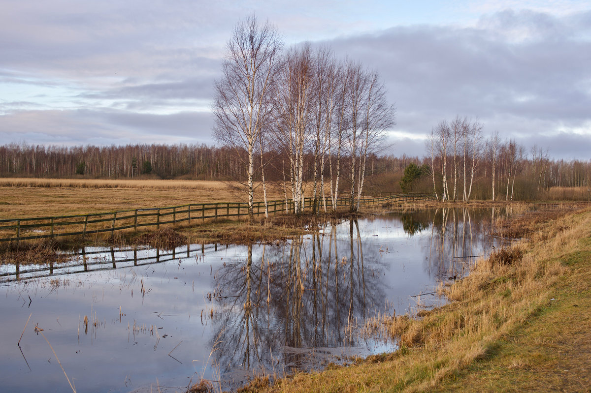 Landscape - SvetlanaScott .