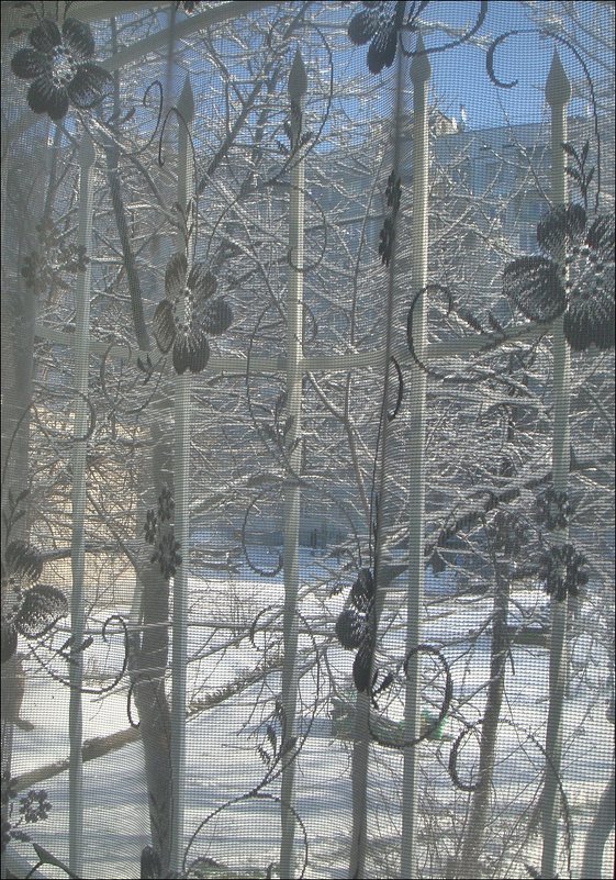 Из моего окна:  белый снег и голубое небо - Нина Корешкова