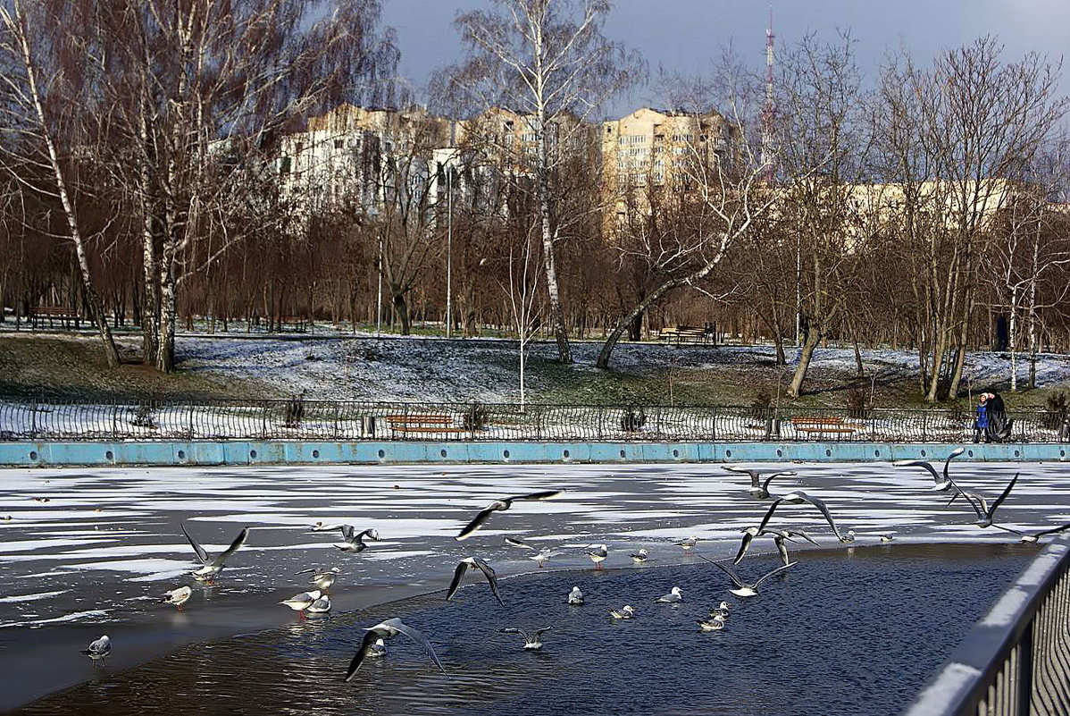 утро в парке - Александр Корчемный