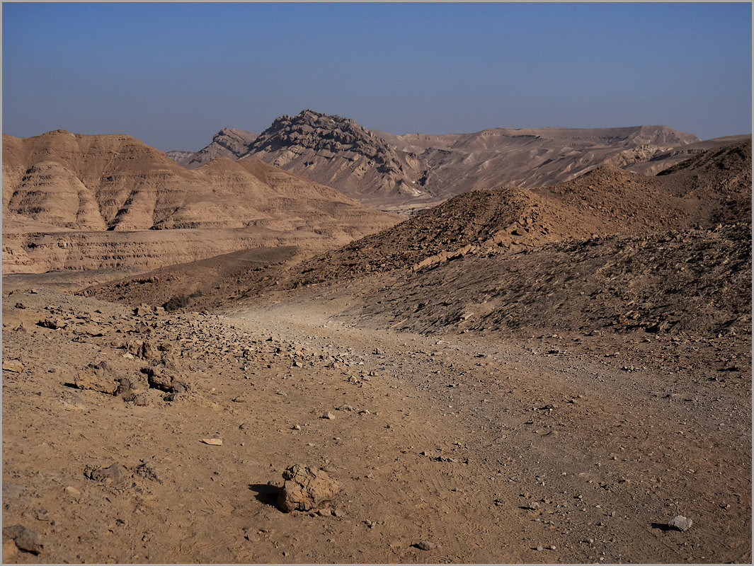 Пустыня Негев, Израиль. - Lmark 