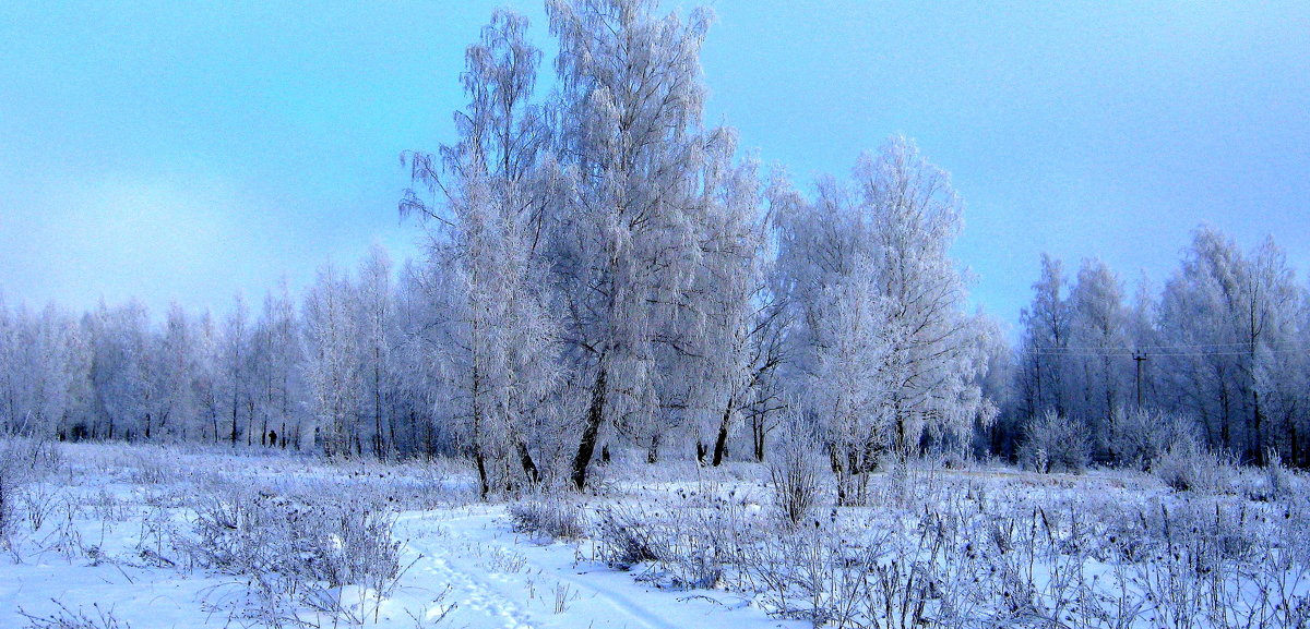 Зимний пейзаж. - Борис Митрохин