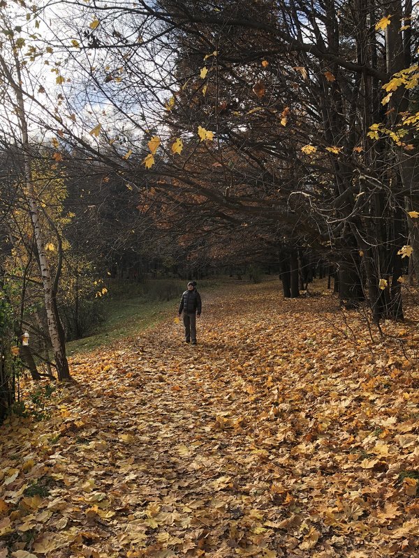 Осенняя дорожка - Ekaterina Podolina