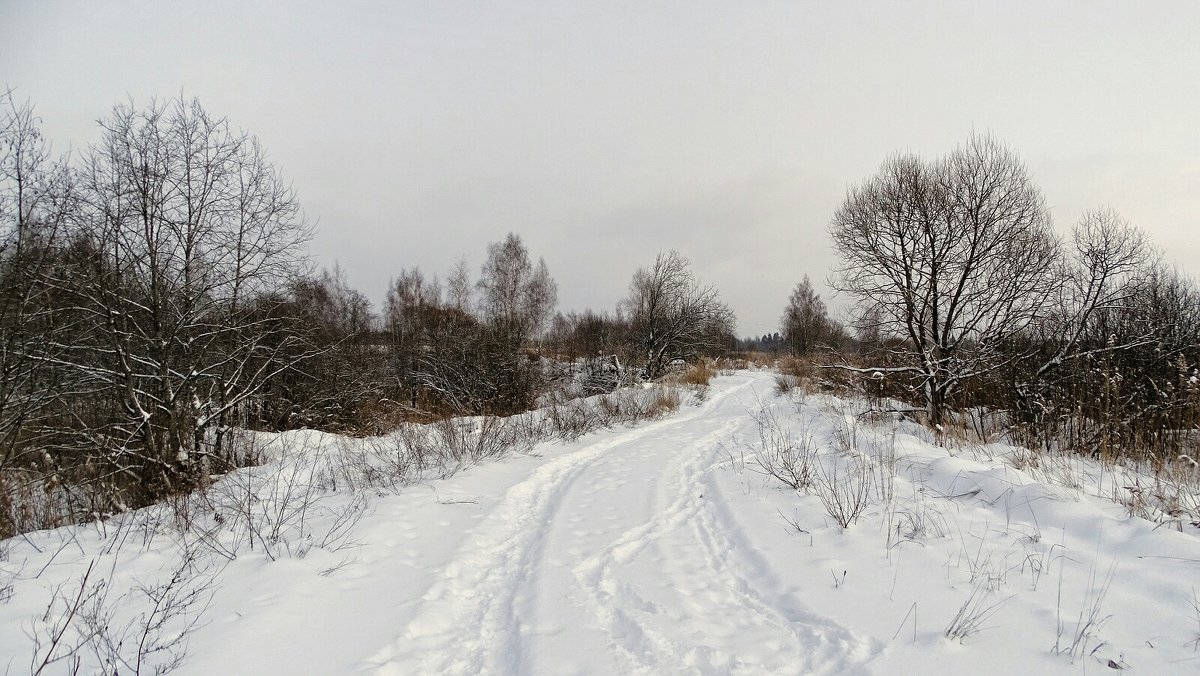 По зимним дорогам Смоленщины - Милешкин Владимир Алексеевич 