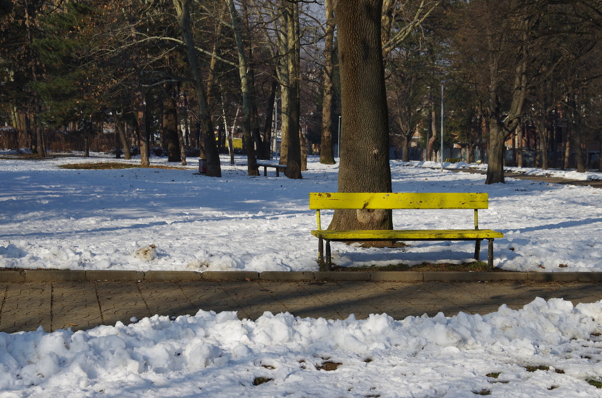 Спокойствие в парке ! ;) - Вен Гъновски