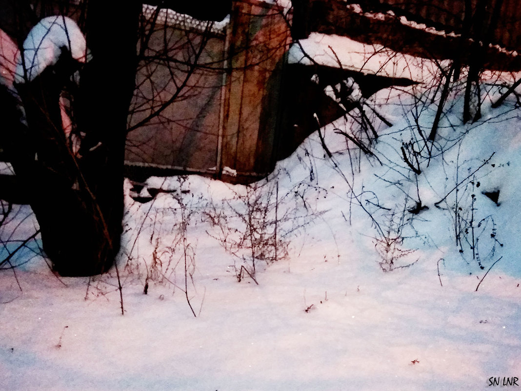 Мобильное фото #6. Последний день января - 5 снежных фото - Наталья (ShadeNataly) Мельник
