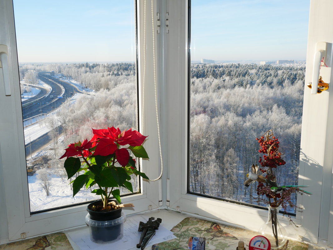 А за окном..Мороз и Солнце. (антициклон,зима) - Alexey YakovLev