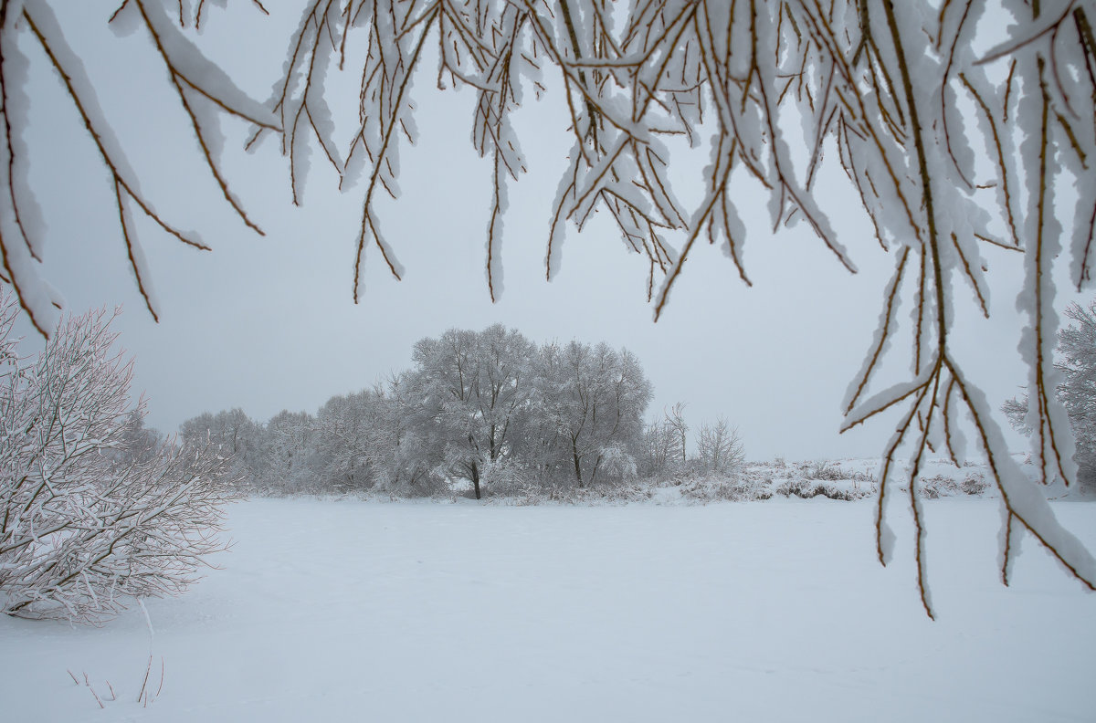 В объятиях настоящей зимы - Ксения Соварцева