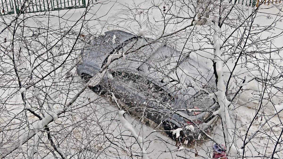 Зря  он тебя  раскопал "малышка"! Праздник снега в  Москве уже начался ! - Виталий Селиванов 