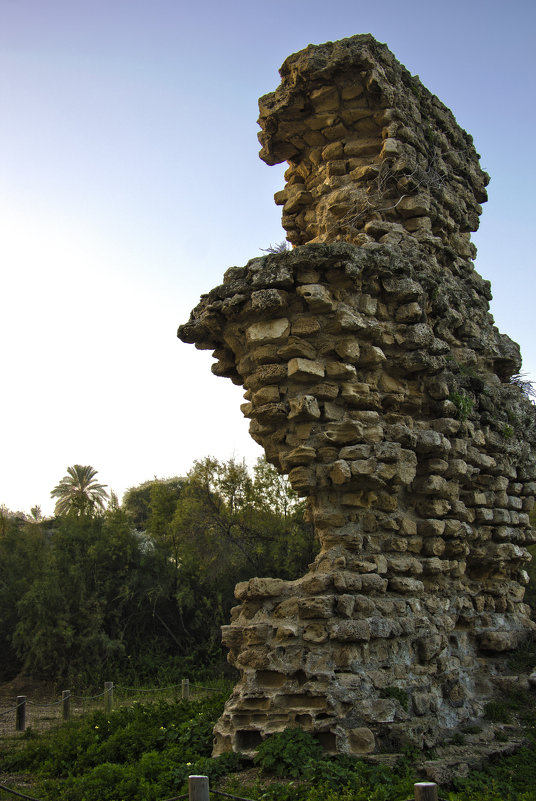 Часть стены города Ашкелона - Ефим Журбин