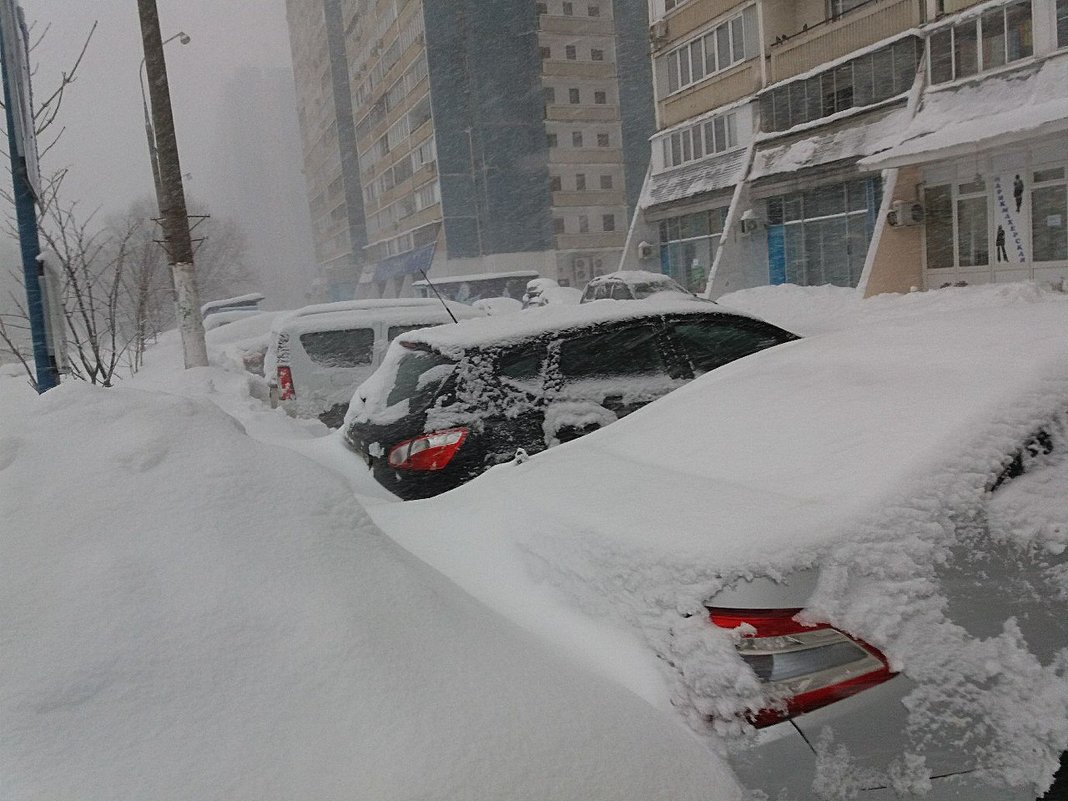 А у нас во дворе.... - Наталья Владимировна