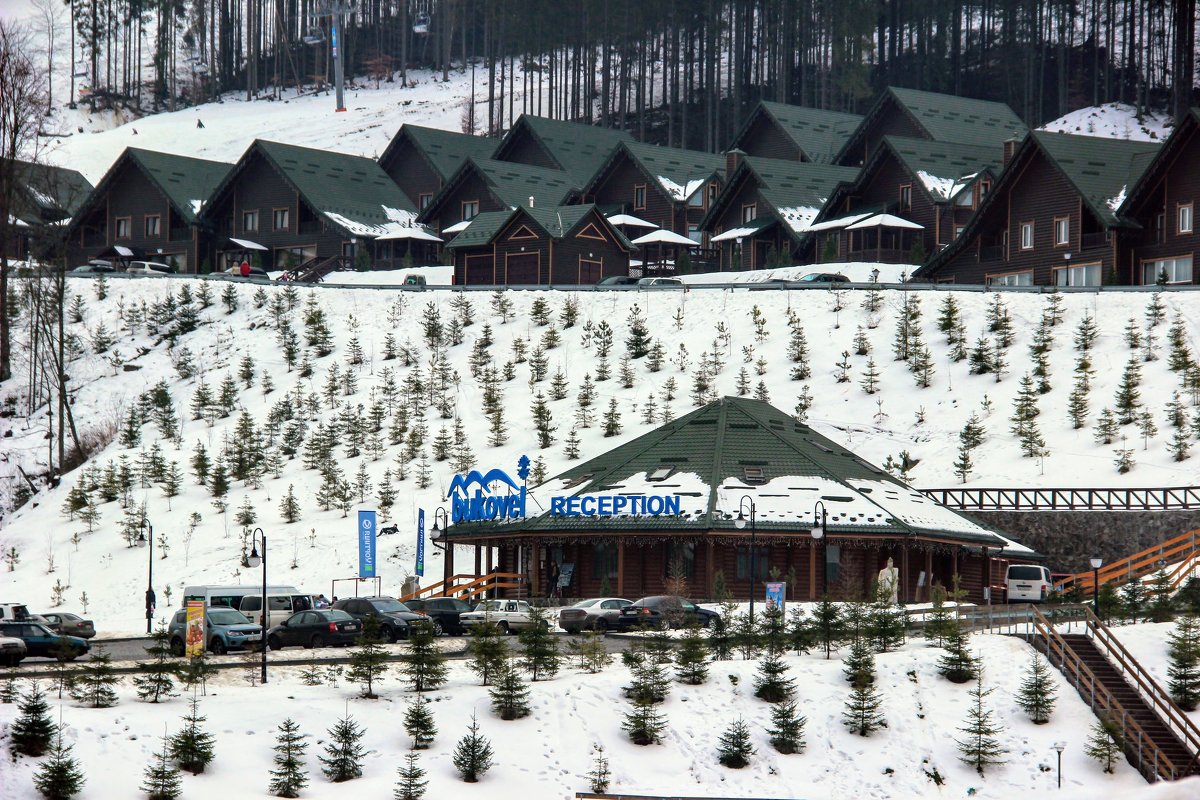 Рецепшен в форме  Колыбы - Вячеслав Случившийся