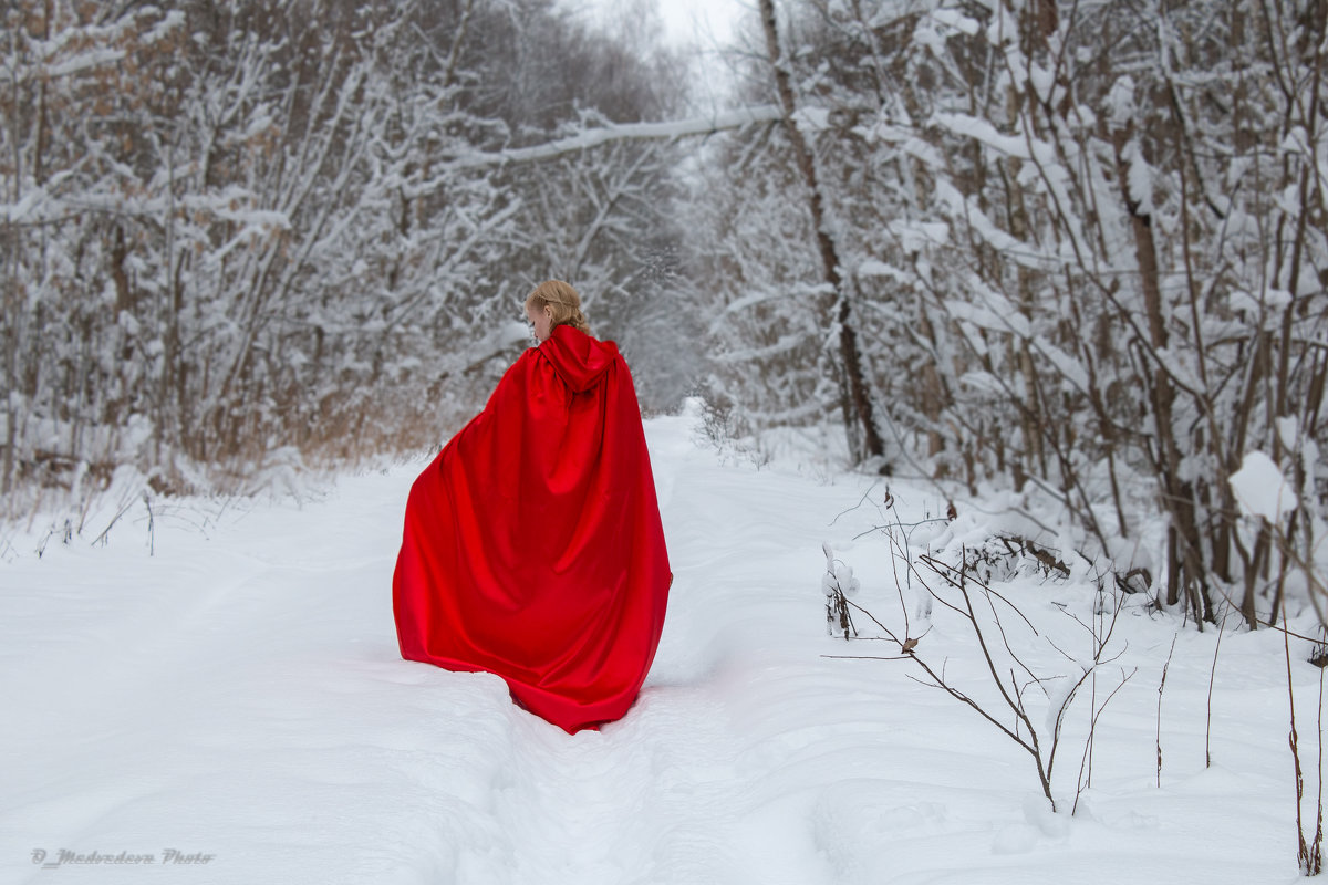 Красная шапочка в зимнем лесу - Ольга (Кошкотень) Медведева
