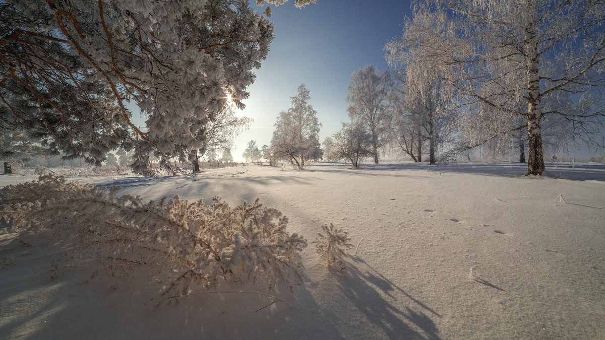 Тени на снегу - Дамир Белоколенко