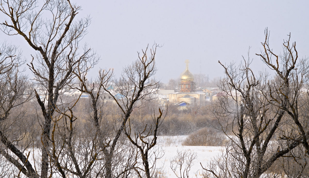 Вид на Никольский храм - Вера Сафонова