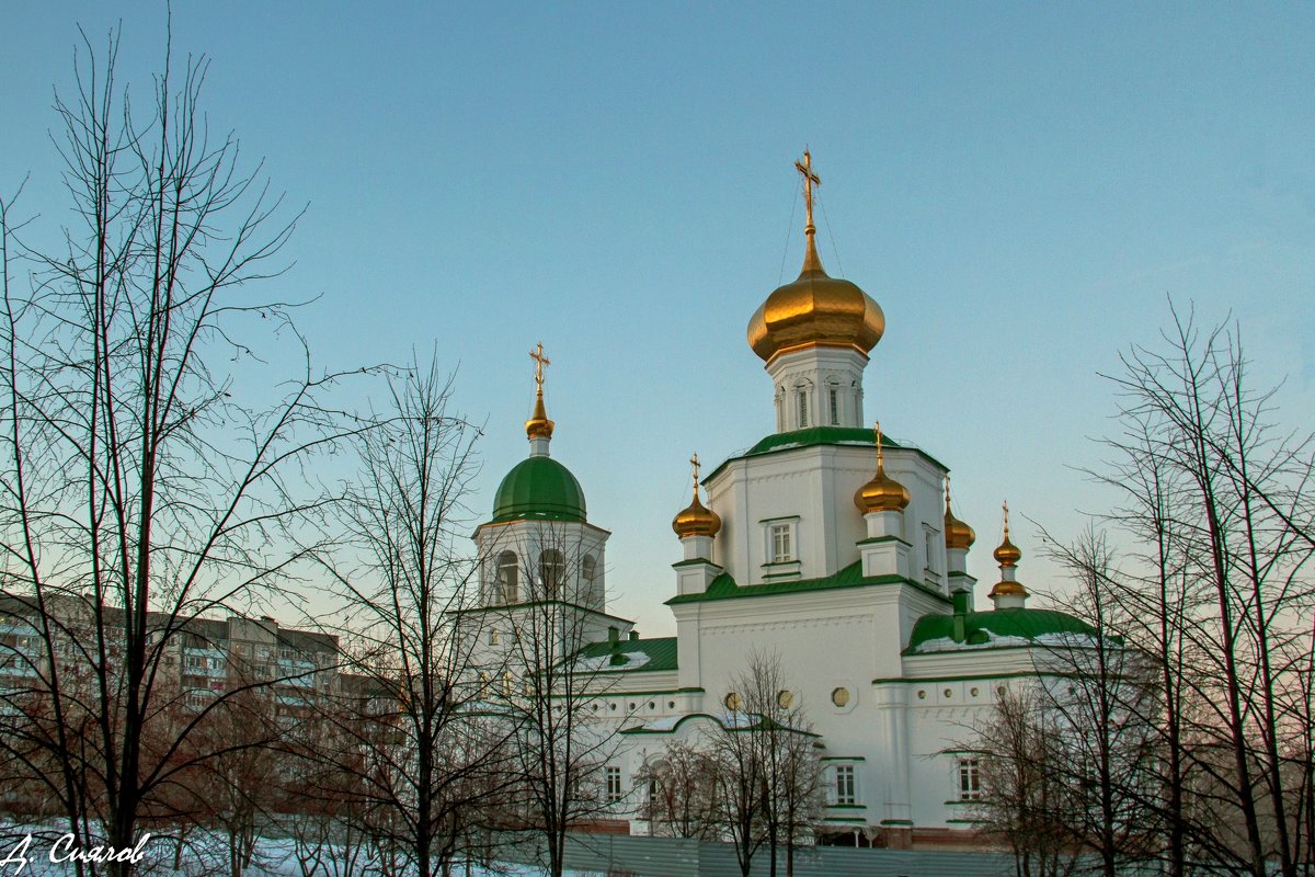 Приход Храма Благовещения Пресвятой Богородицы - Дмитрий Сиялов