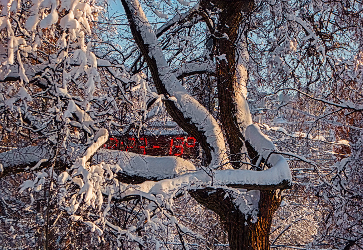 -13 C - Василий Ярославцев