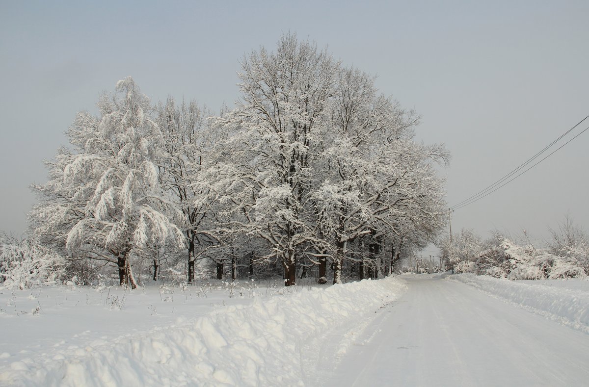 *** - Лара (АГАТА)