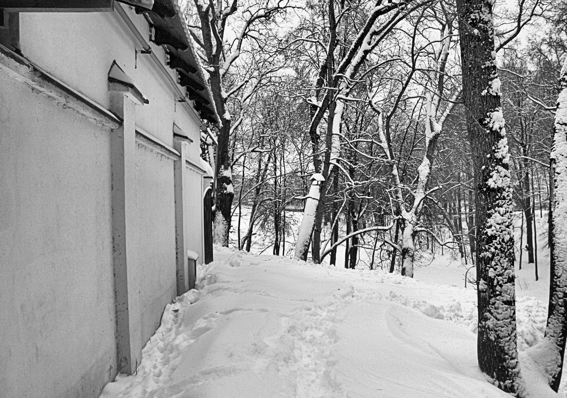 Зима - Евгений Верзилин