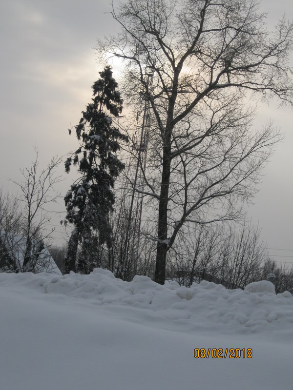 Зимний пейзаж - Smit Maikl 