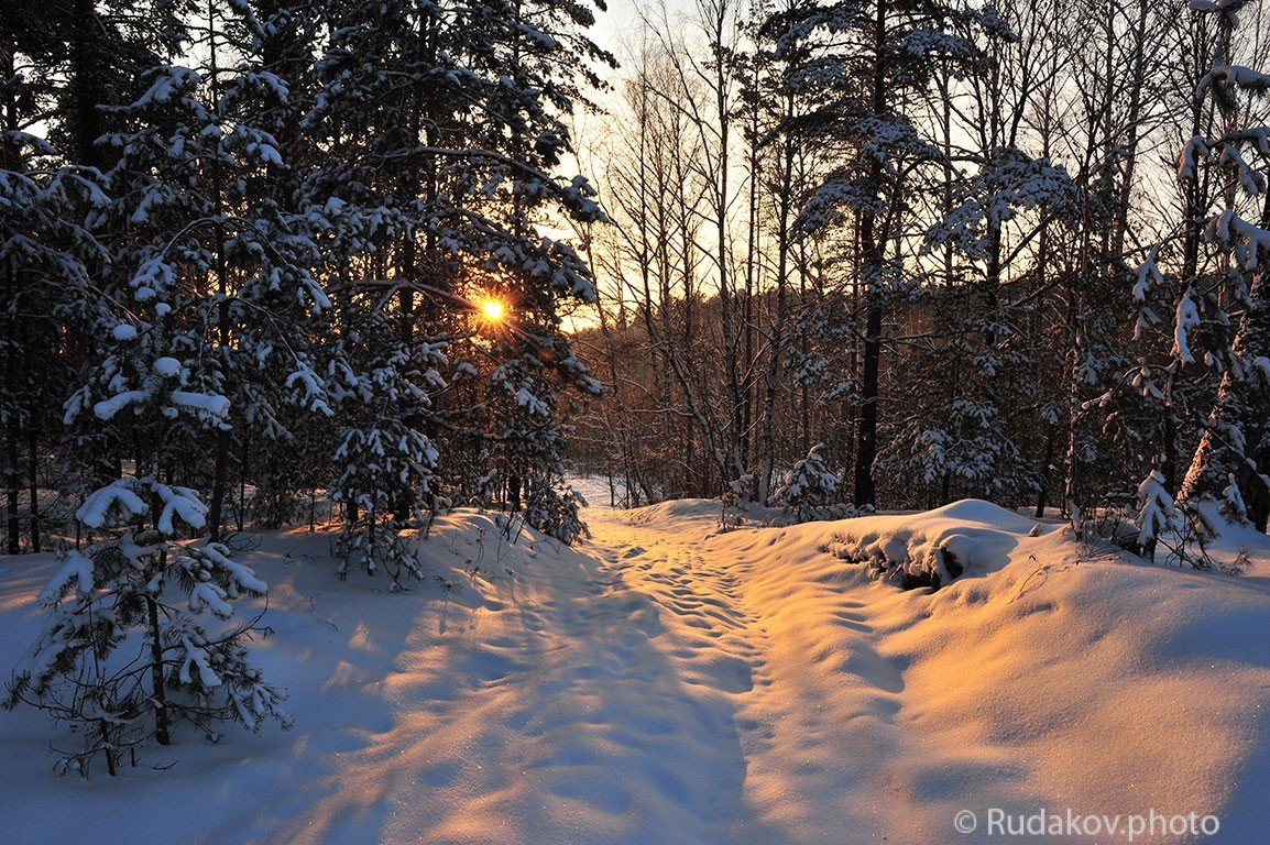 Вечер в зимнем лесу - Сергей 