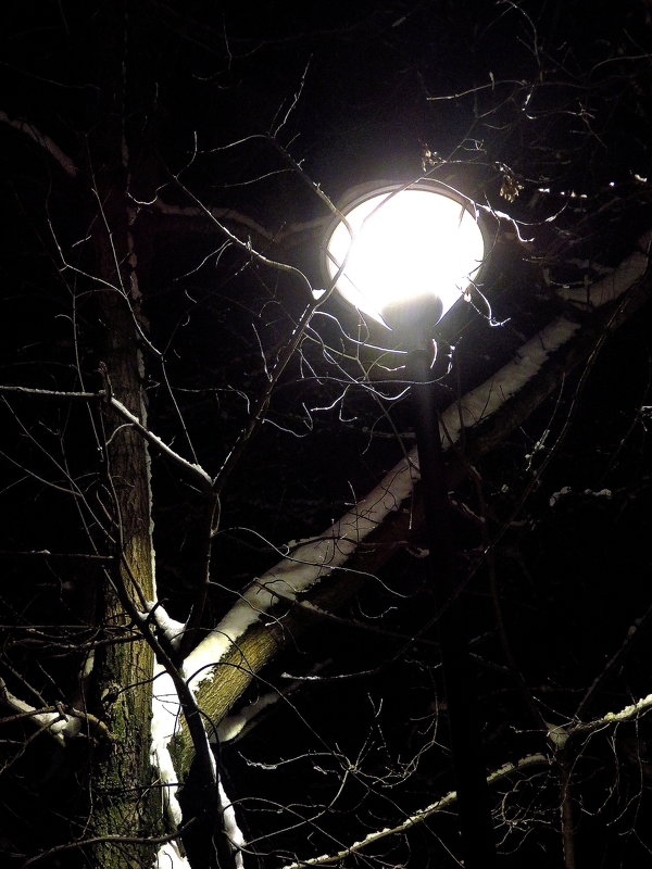 Ночь, улица, фонарь ... - Андрей Лукьянов